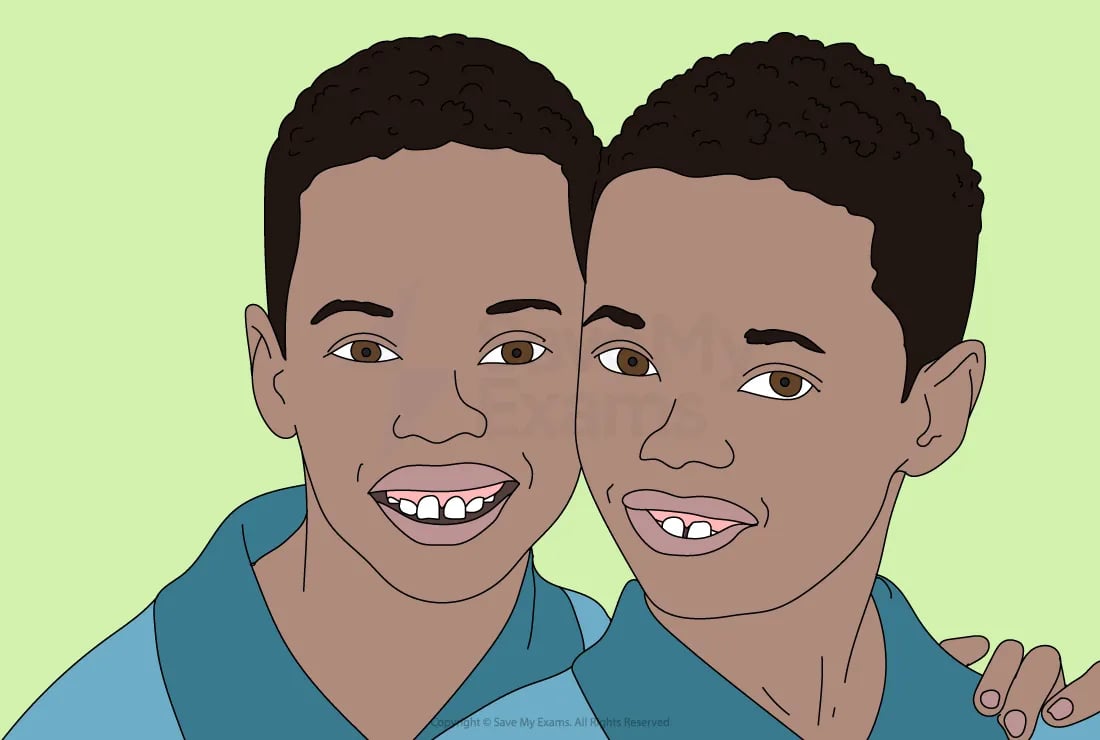 biological-explanations-of-major-depressive-disorder-mdd for IB Psychology