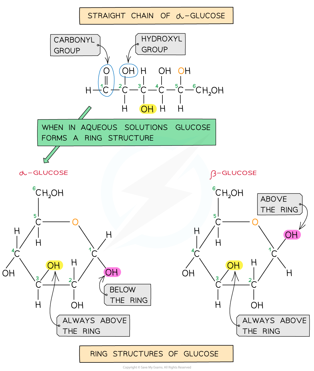 The Two Forms of Glucose