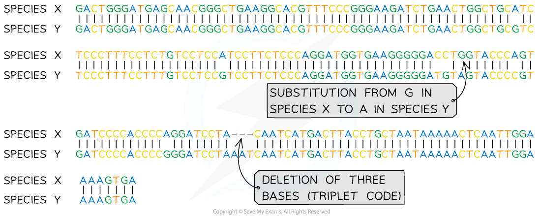 Comparisons of DNA sequences