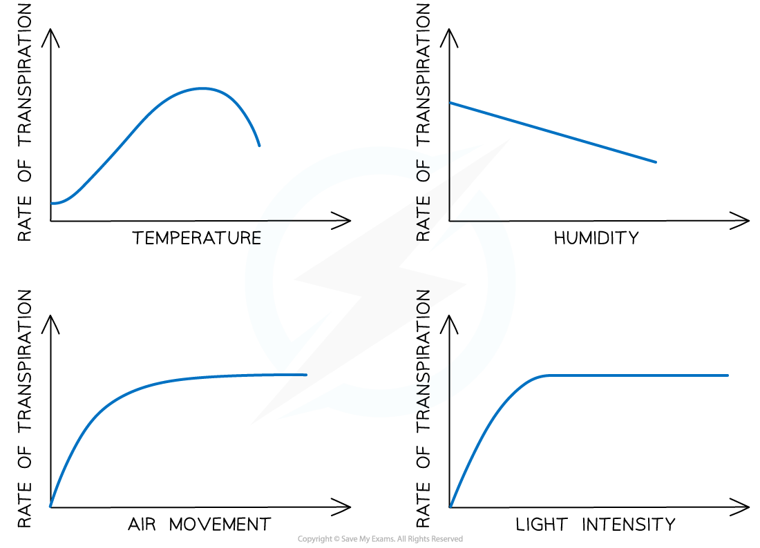 Factors affecting rate of transpiration
