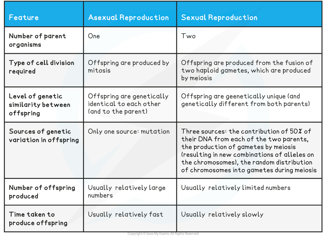 Sexual and asexual reproduction comparison_1