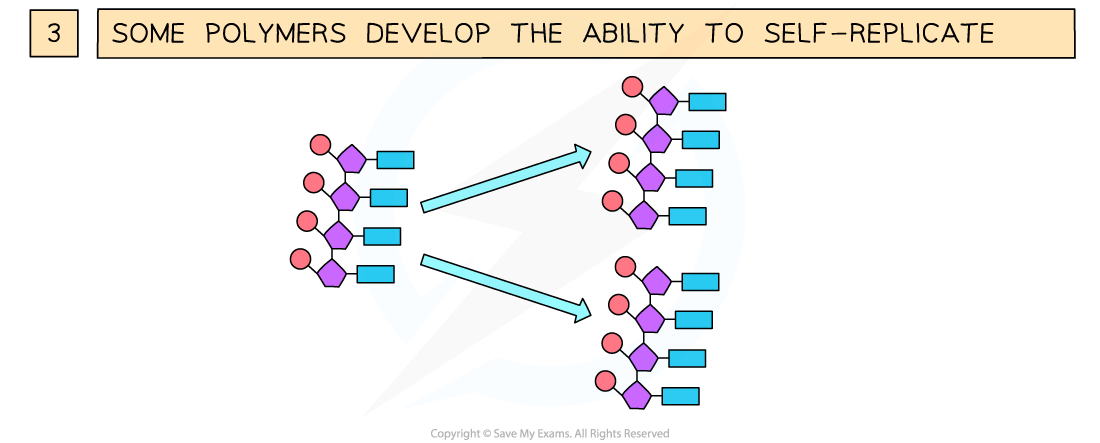 The three key stages involved in life arising from non-living materials 2