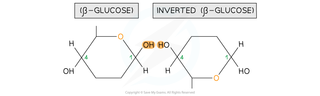 Beta glucose in cellulose