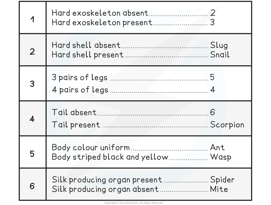 Dichotomous-Key-Example-table