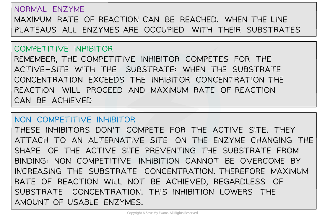 enzyme-inhibition-rates-graph-1