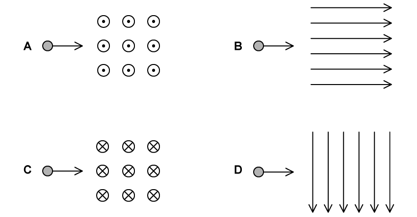 q15_magnetic-effects-of-electric-currents_ib-sl-physics-mcq