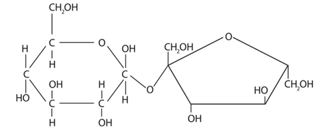 sucrose