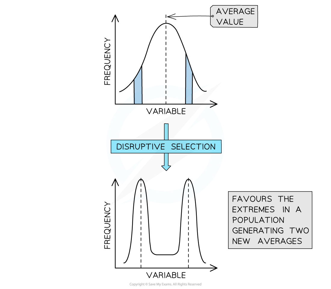 10-3-2-evolution-graph-3