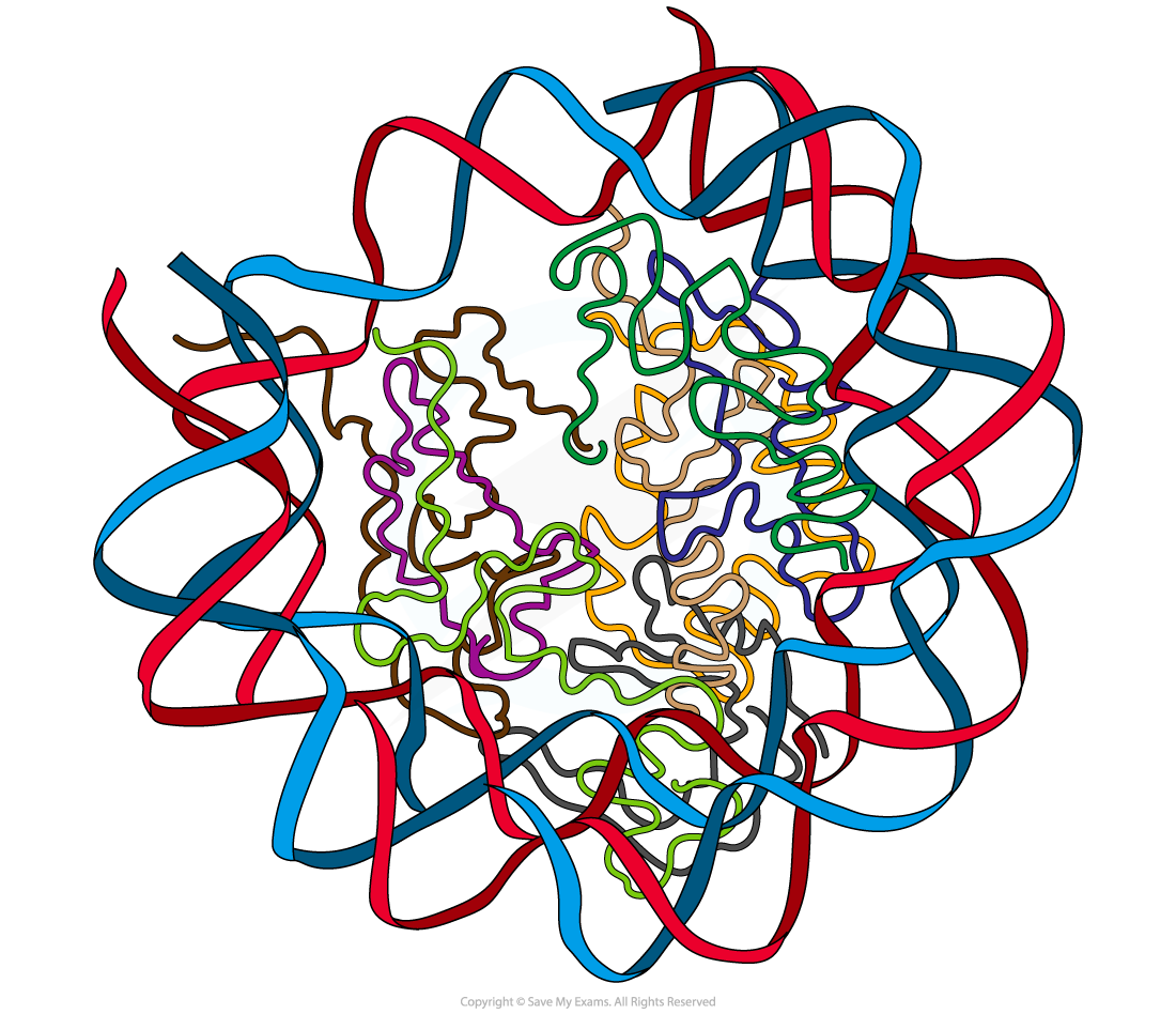 structure-of-human-nucleosome-yeast-trna