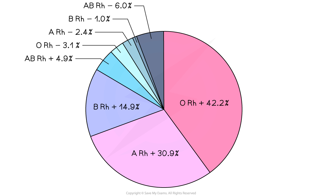 worldwide-a-b-o-blood-group-distribution-1