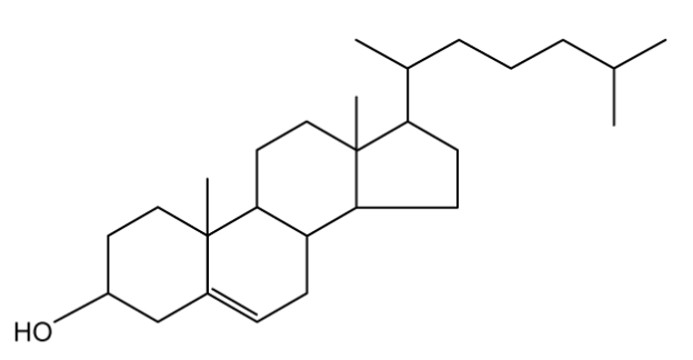 cholesterol