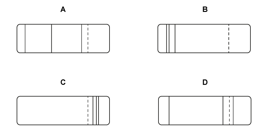 12-1-hl-mcq-medium-q10-real_options