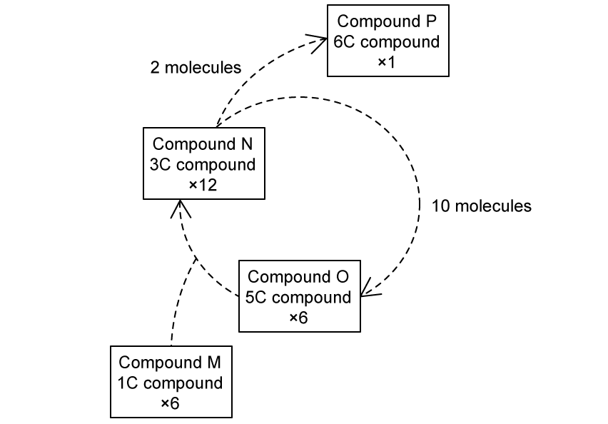 13-1-fig-5-1