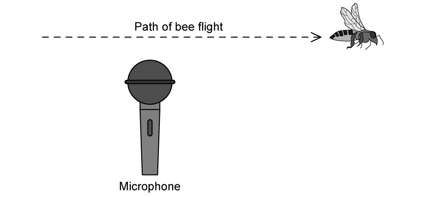 9-5-hl-sq-medium-q2a