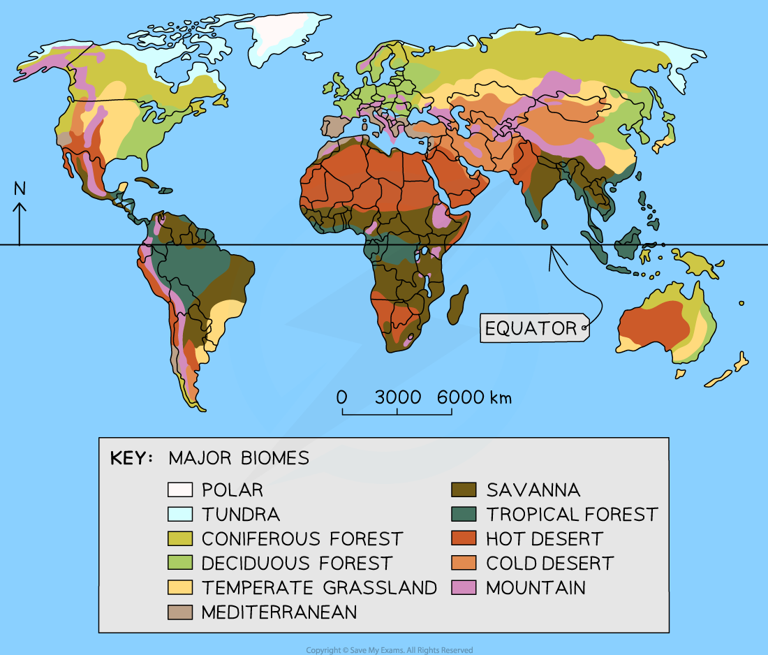 Biome distribution map