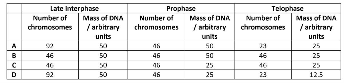 mitosis-chromosomes-and-dna