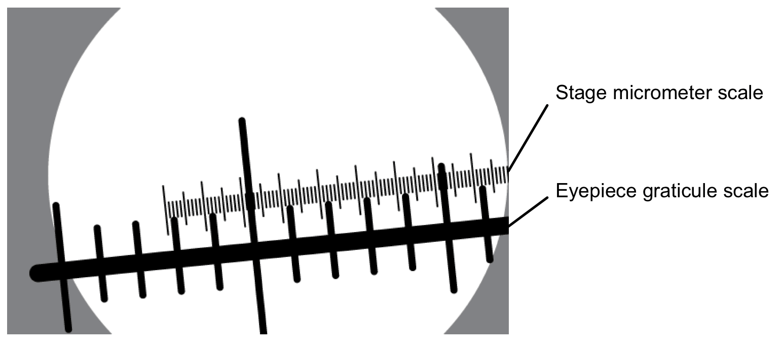 1-1-h-4b-paper-21