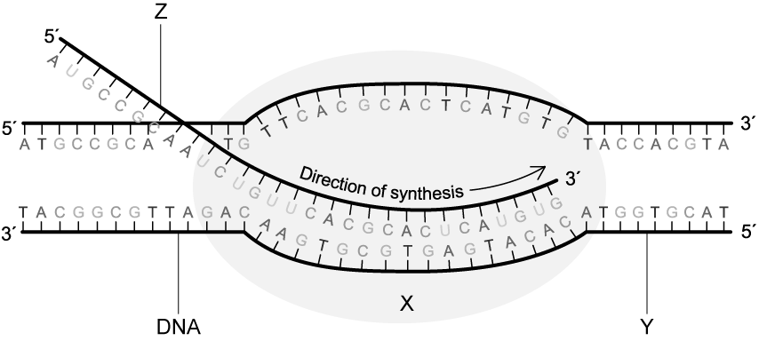 6-2-fig-2-1