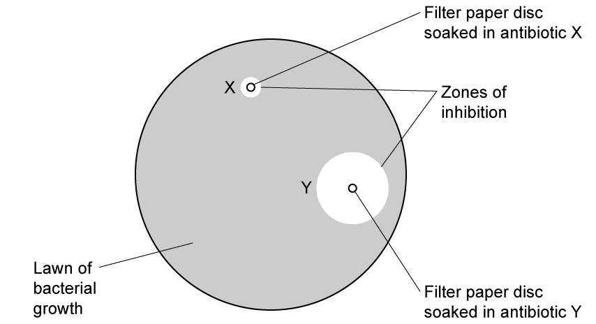 cNjoDURL_h-2