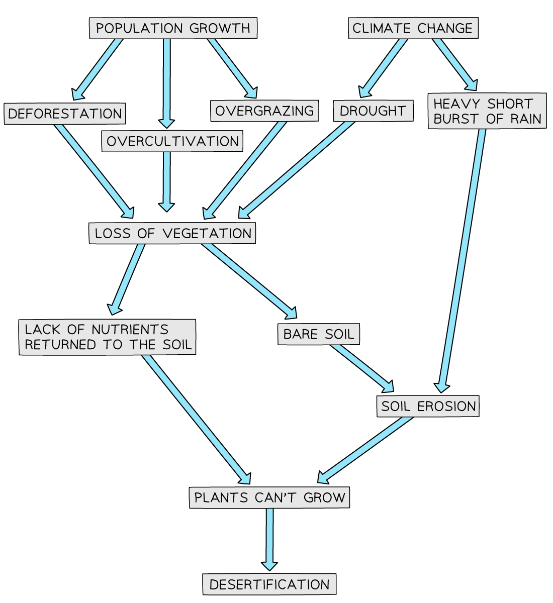 Flow diagram of causes of desertification