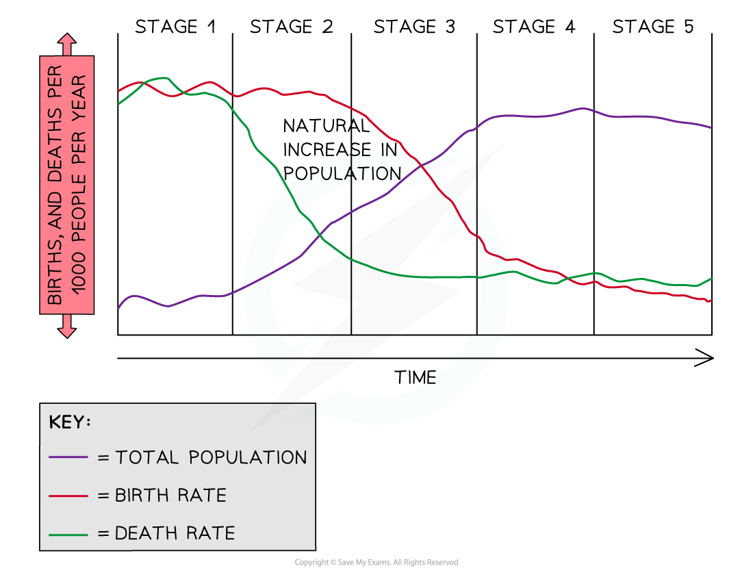 demographic-transition