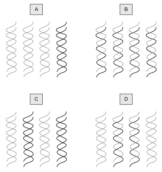 diagram-10