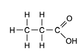 q3-easy--option-a-2-1-metabolism--water-ib-dp-biology-sl