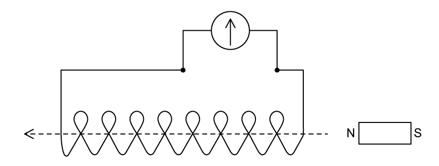 11-1-ib-hl-mcqs-easy-q5-qun