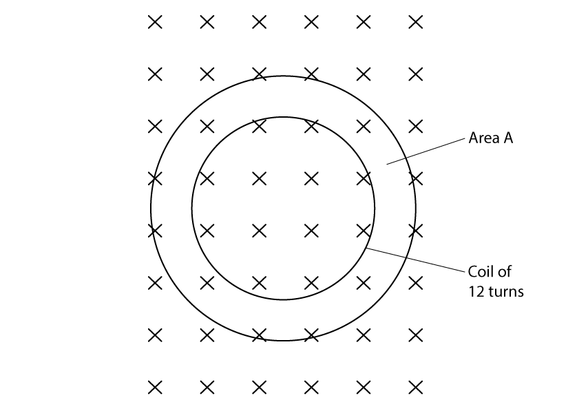 11-1-ib-hl-mcqs-easy-q6-qun