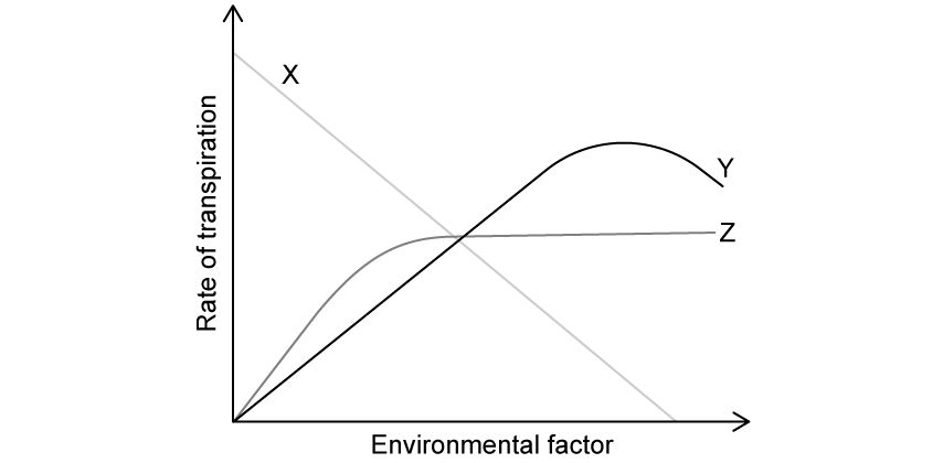 X9utcuvA_environmental-factors-transpiration-rate-sq