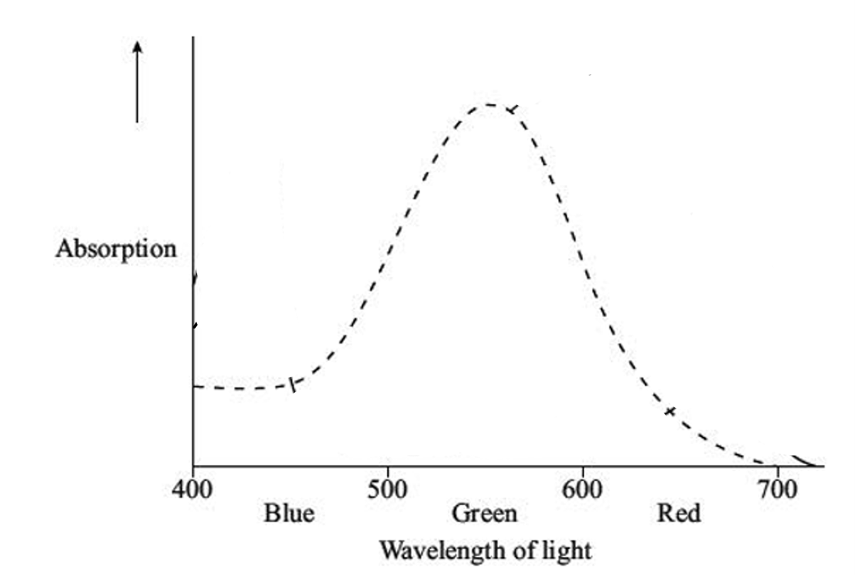 absorption-spectrum-for-red-bacteria