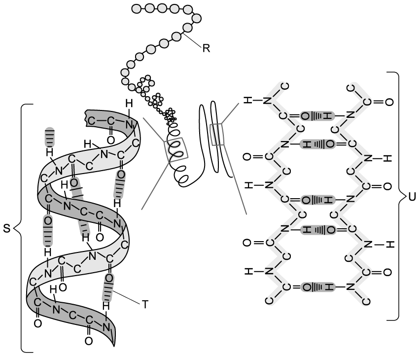 kWNOSr2H_hl-ib-7-3-e-q3a