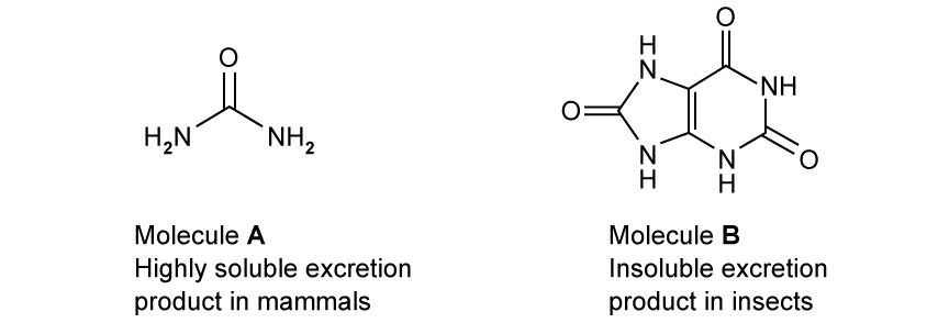 mgpc-TKQ_urea-and-uric-acid-formulae-sq