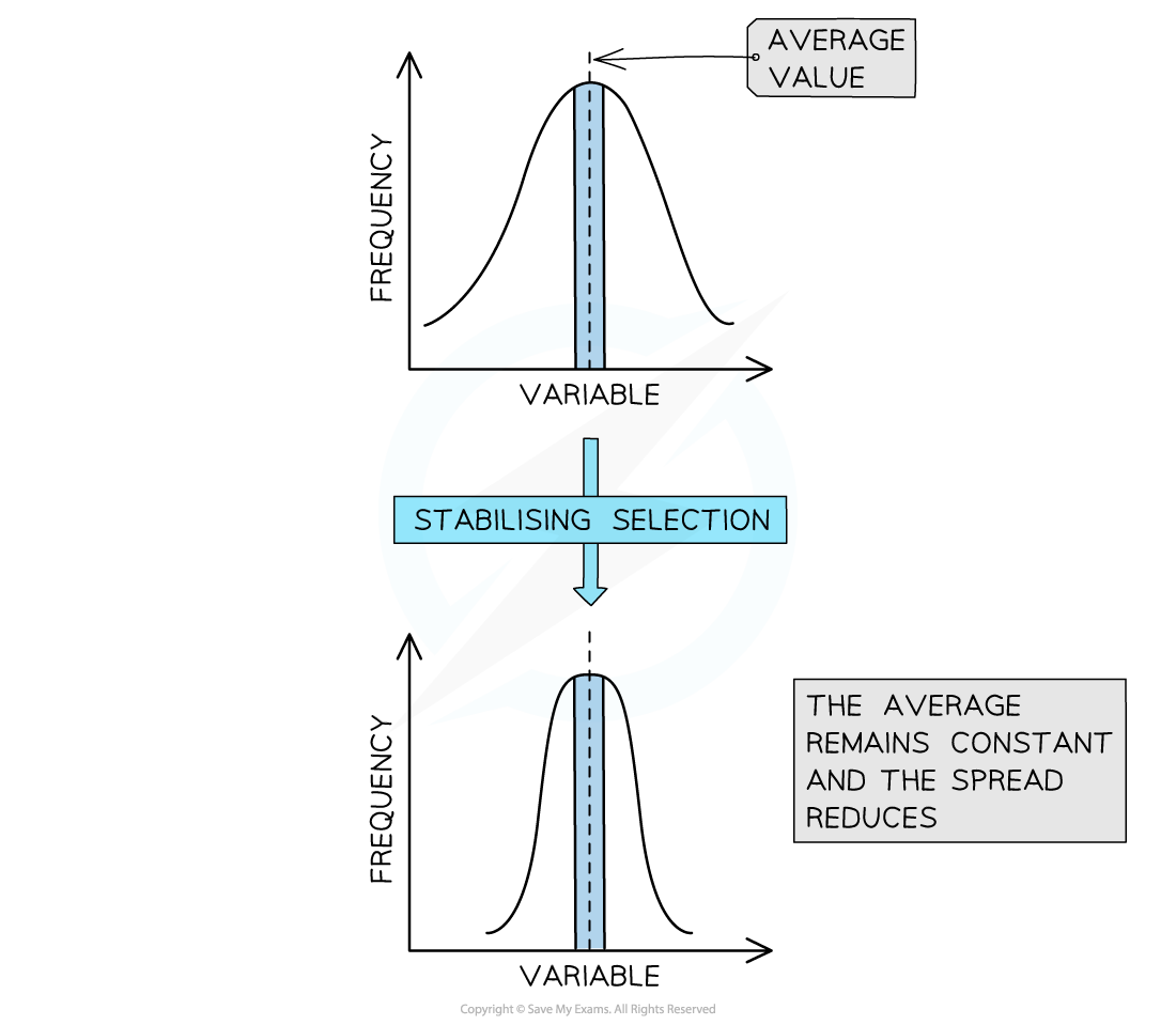 10-3-2-evolution-graph-2