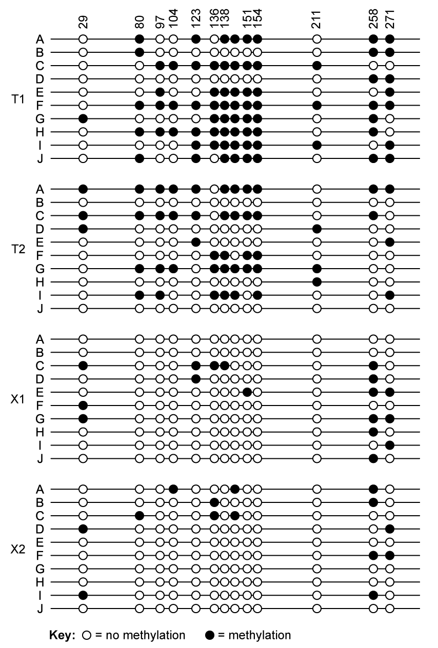 qWeqyfvA_dna-methylation-patterns-prostate-tumour-sq