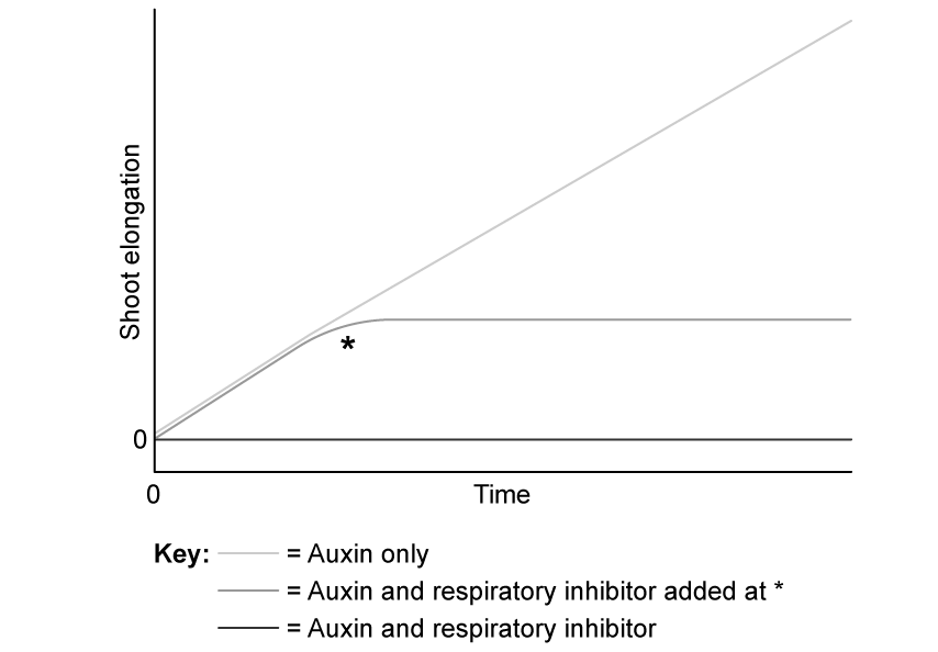 respiratory-inhibitors-shoot-growth-auxin-sqrespiratory-inhibitors-shoot-growth-auxin-sq