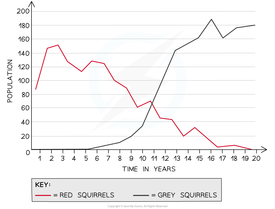 The relationship between a grey squirrel population and a red squirrel population over time graph