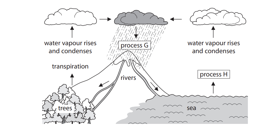 fig-1-1bio-2f-june19-qp-gcse-bio