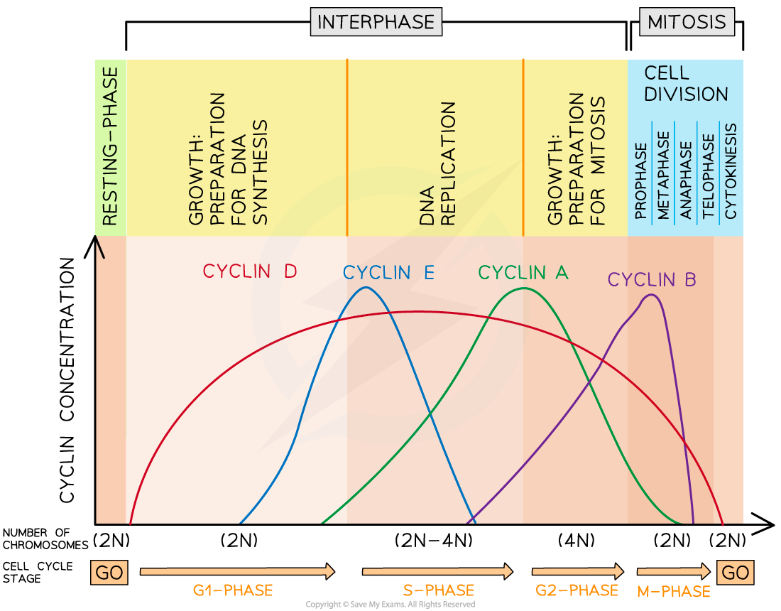 ocr-biology-rn---2