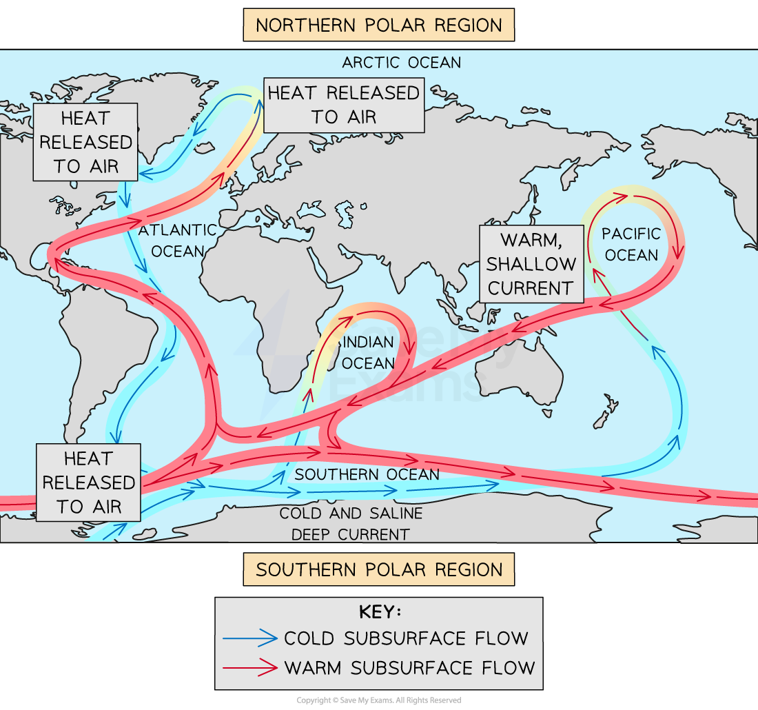 thermohaline-circulation