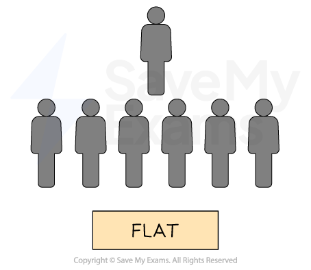 1-4-3-different-types-of-organisation-structures---flat