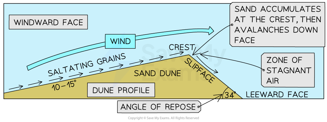 Image showing the formation of a sand dune, its profile and form