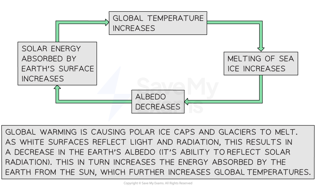 Positive feedback cycle due to decreasing albedo