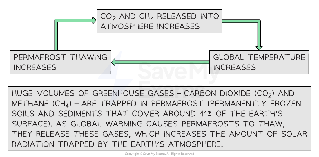 Permafrost melting and global warming positive feedback cycle