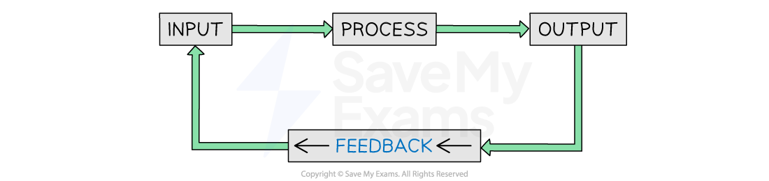 8J408LfN_1-3-3-feedback-loop