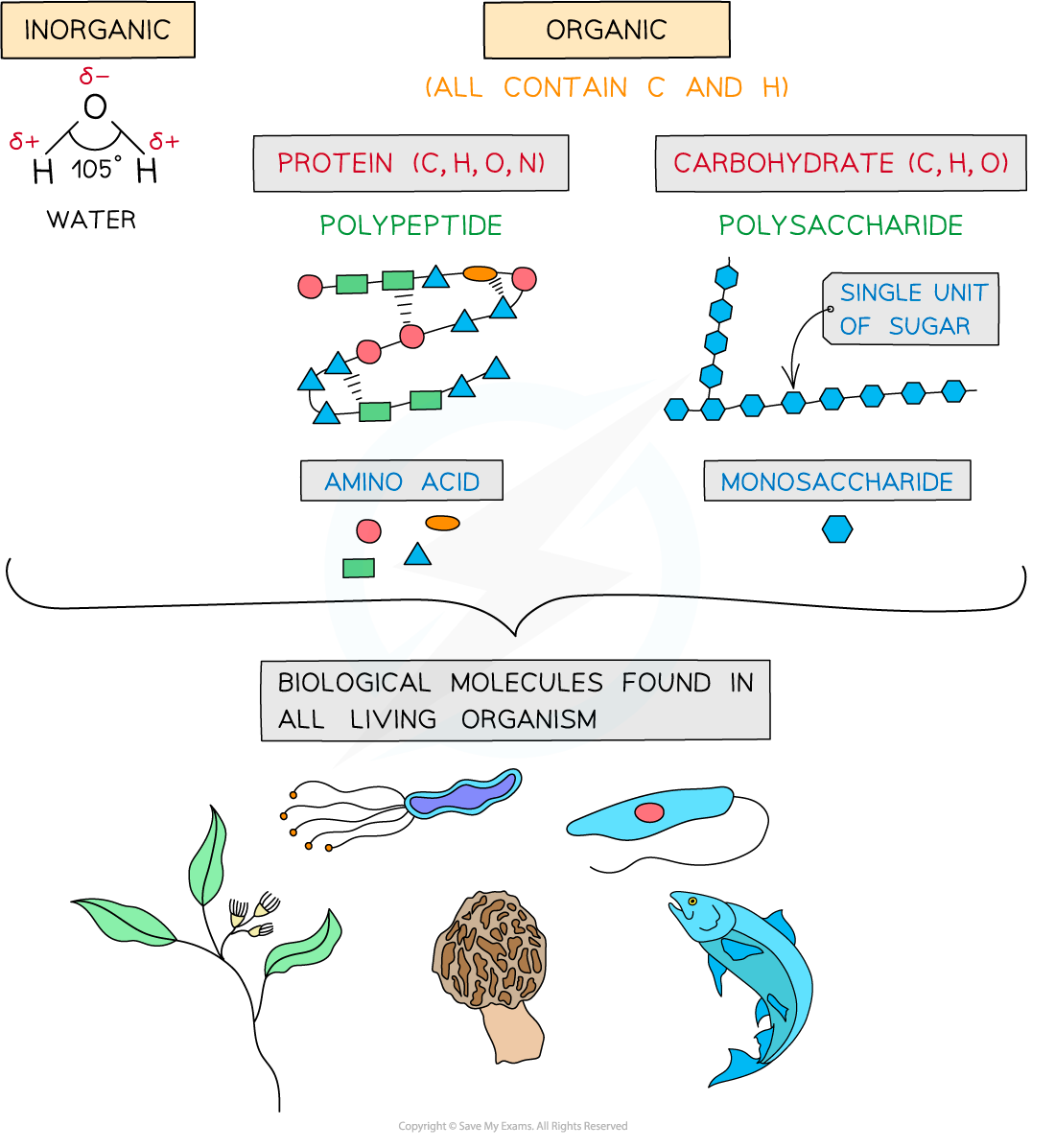 inorganic-and-organic-molecules