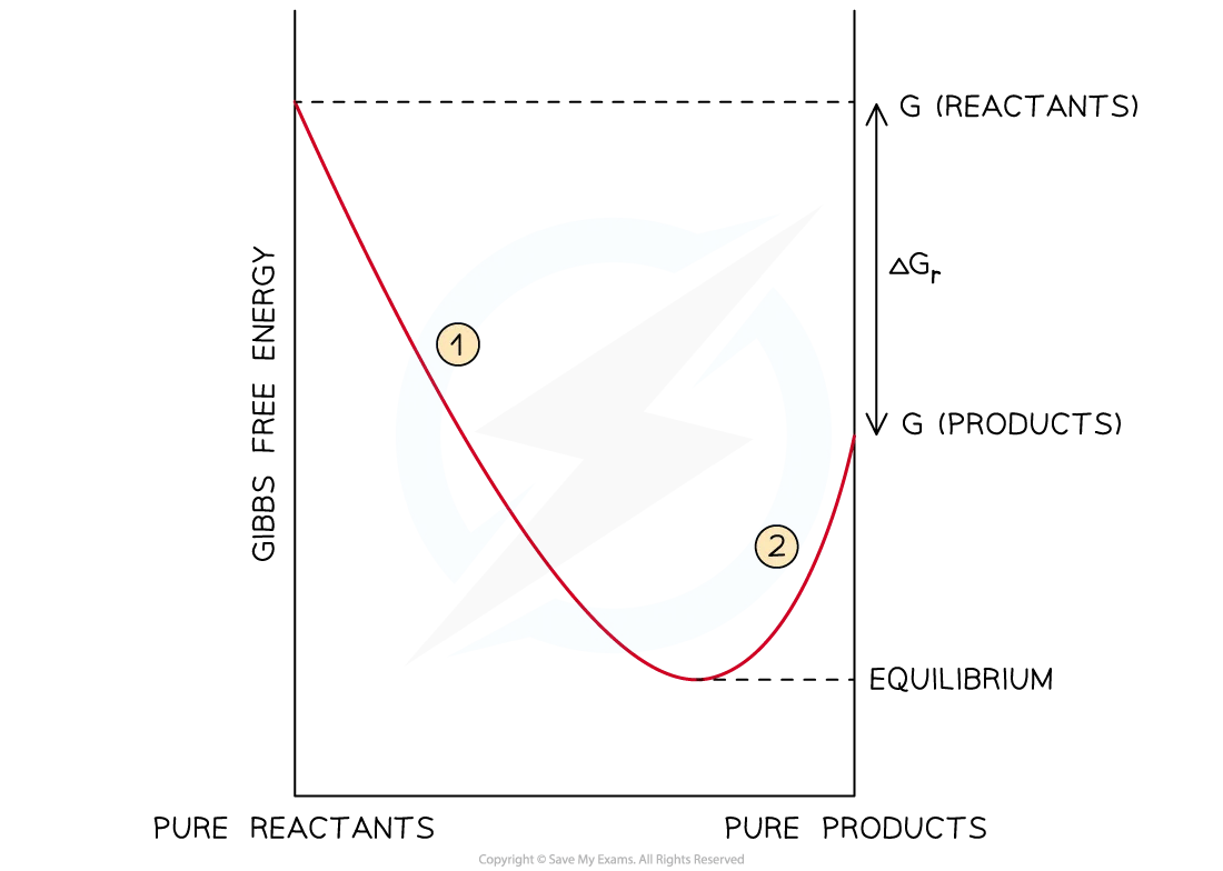 Gibbs-free-energy-and-react