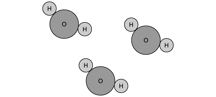 2twmhYny_q2d-2-1-metabolism-water-medium-ib-hl-biology-sq