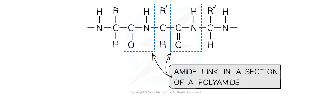 The structure of a polyamide highlighting the amide -CONH- link