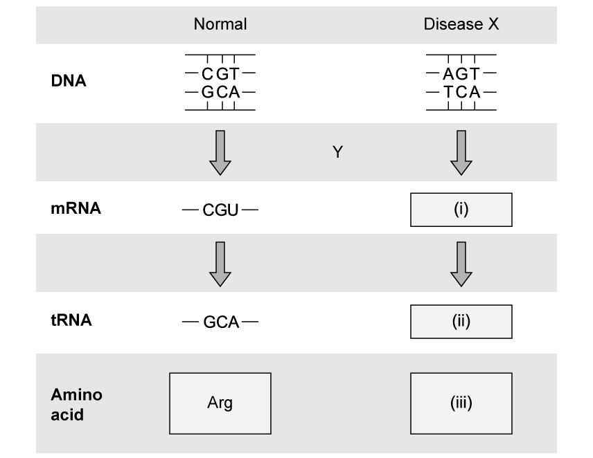 biology-2-6-2a-sq-ib-hl